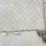Fish Net