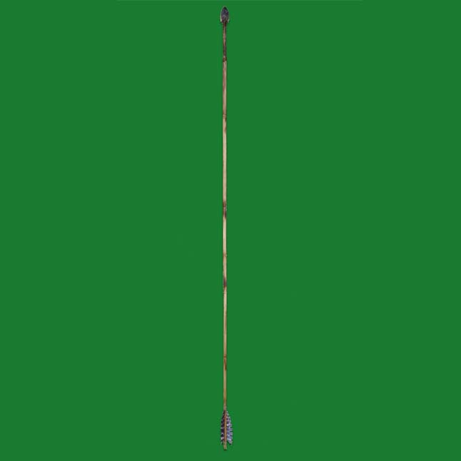 Cane Spear with Stone Point