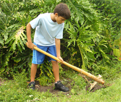 Child Digging